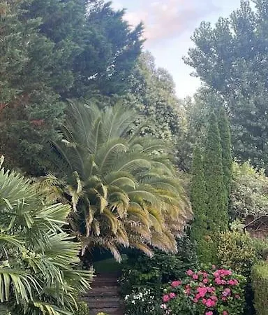 בית נופש Casa Romantica En אונדאיי